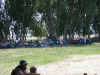 Dscn2470.jpg (204279 bytes)